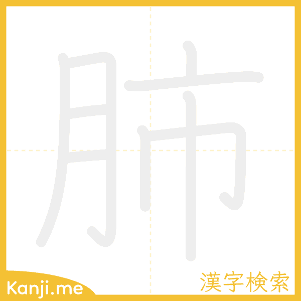 「肺」の書き順アニメーション