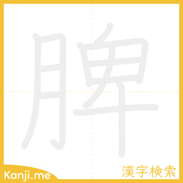 「脾」の書き順アニメーション