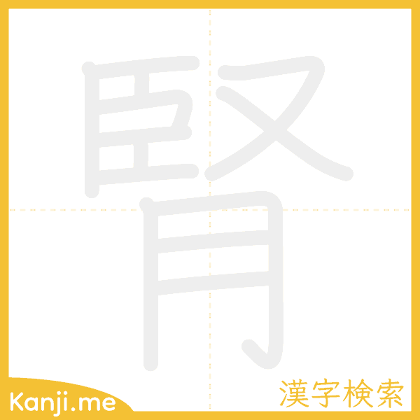 「腎」の書き順アニメーション