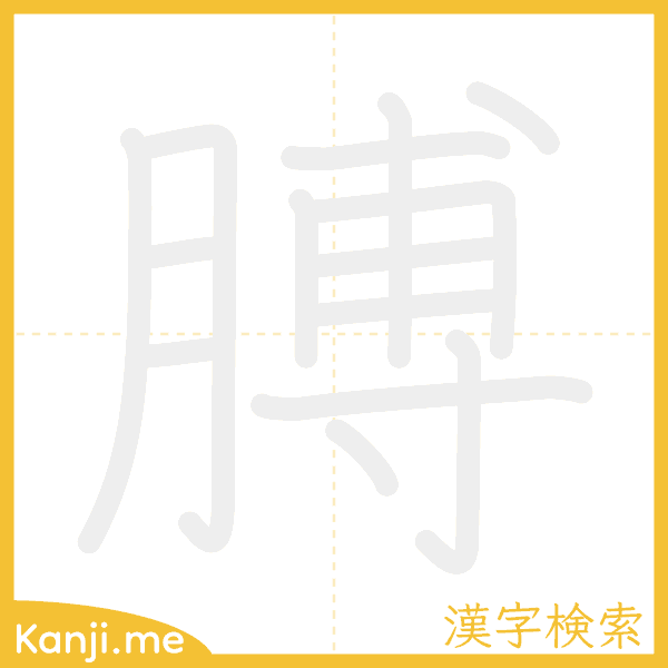 「膊」の書き順アニメーション