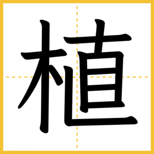 漢字「植」
