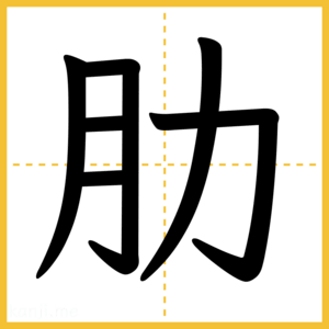 漢字「肋」