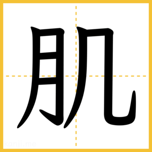 漢字「肌」