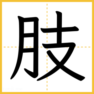 漢字「肢」