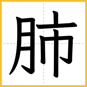 漢字「肺」