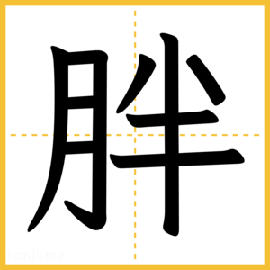 漢字「胖」