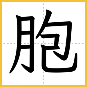 漢字「胞」
