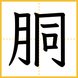 漢字「胴」