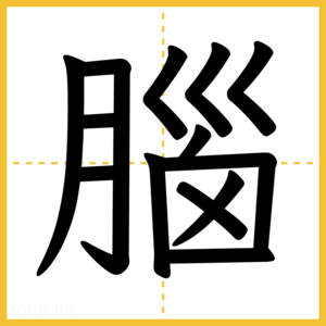 漢字「腦」