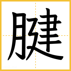 漢字「腱」