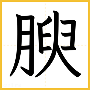 漢字「腴」