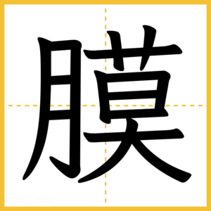 漢字「膜」