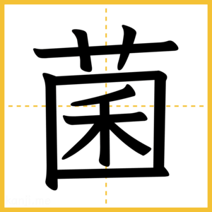 漢字「菌」