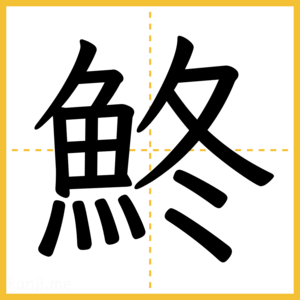 漢字「鮗」