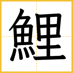 漢字「鯉」