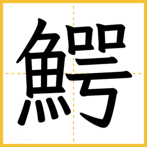 漢字「鰐」